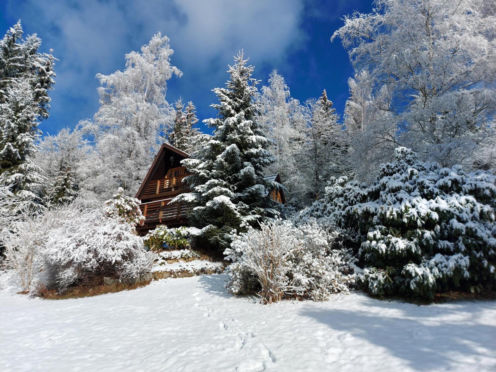 Chalet Bellevue Rogla Zrece Exterior photo