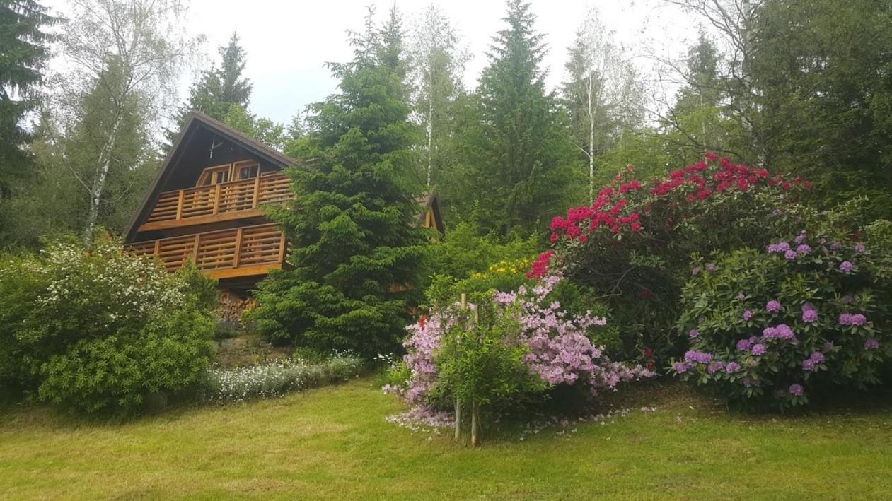 Chalet Bellevue Rogla Zrece Exterior photo
